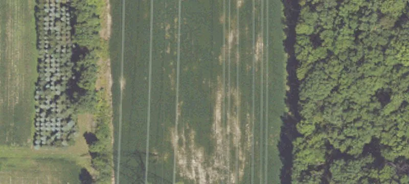 Baroda, MI 49101