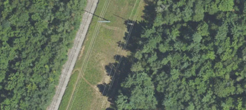 Wyatt Rd