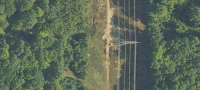 Hesperia, MI 49421