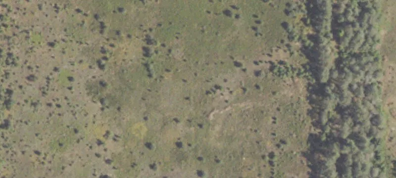 9206 11th Mile Rd