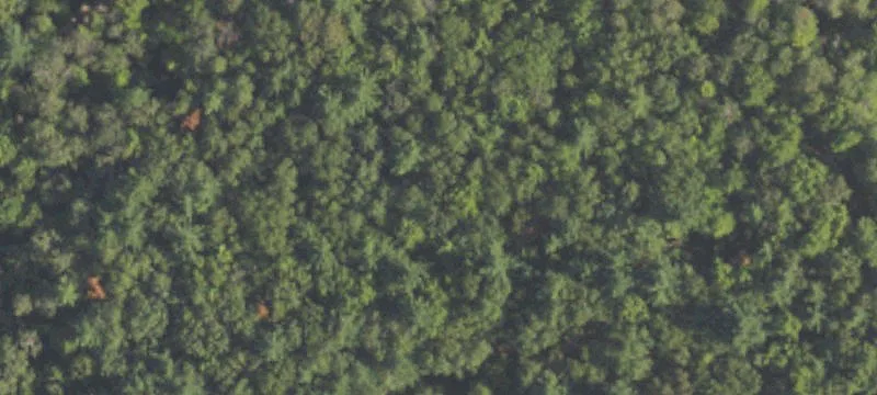 12062 M 115