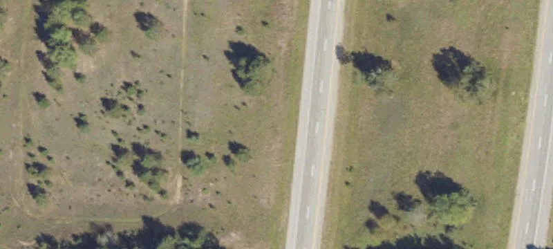 Reed City, MI 49677