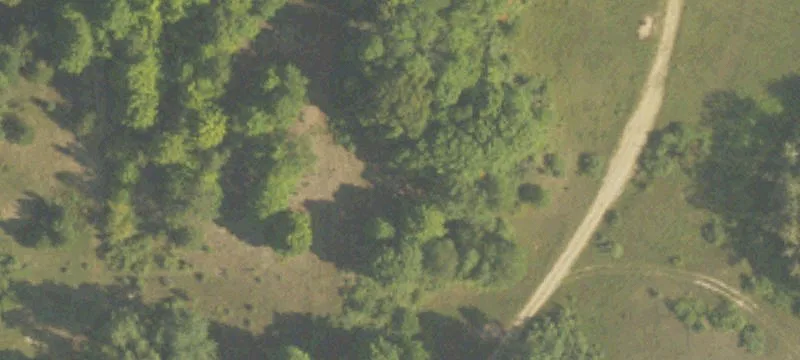 Reed City, MI 49677