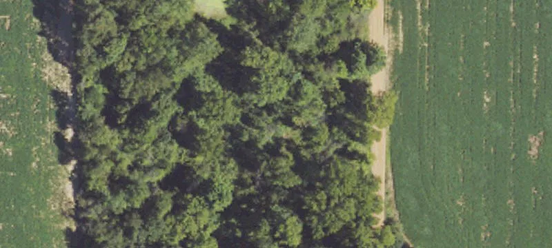 Section Rd