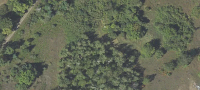 Thompsonville, MI 49683