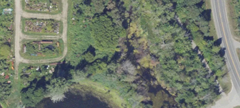 Frankfort, MI 49635