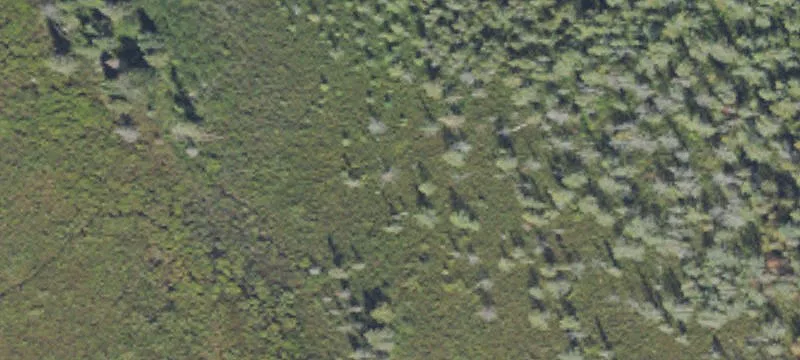 Crystal Falls, MI 49920