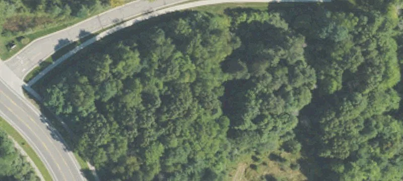 Central Park Dr