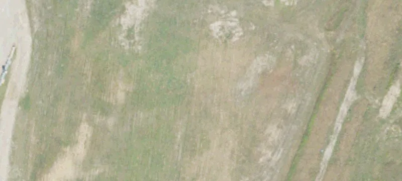 Sebewaing, MI 48759