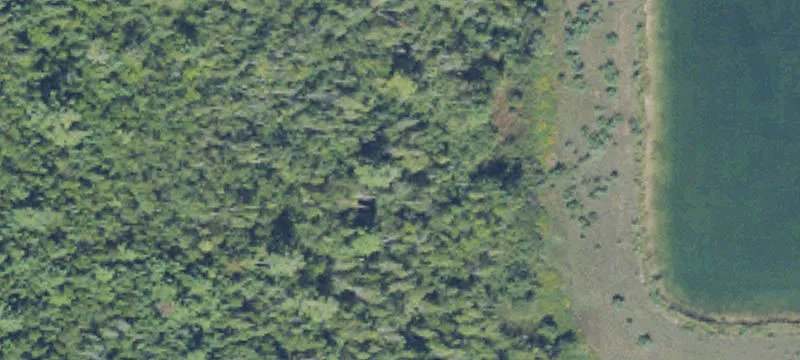 Richter Rd