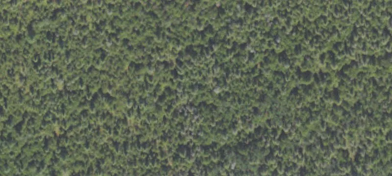 836 M 134