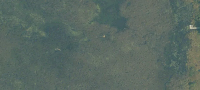 Indian River, MI 49749