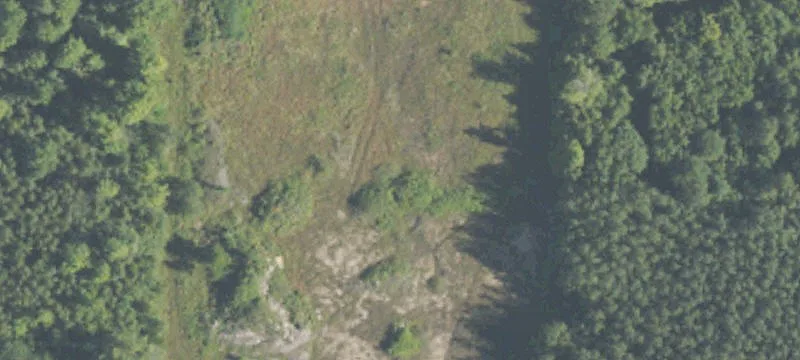 Alanson, MI 49706