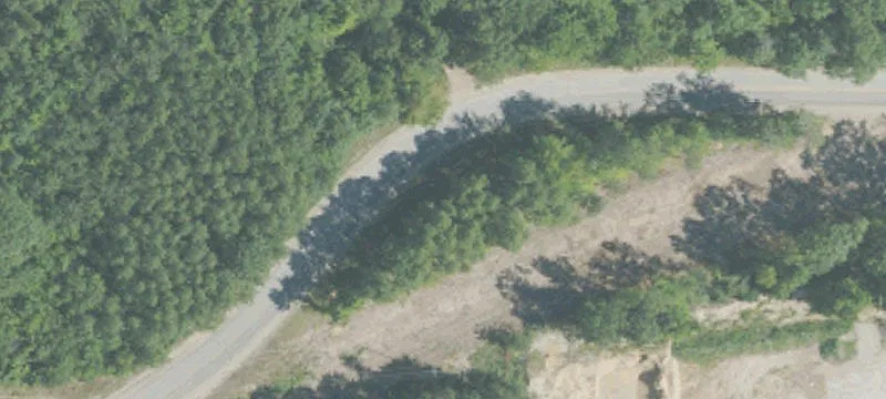 Alanson, MI 49706