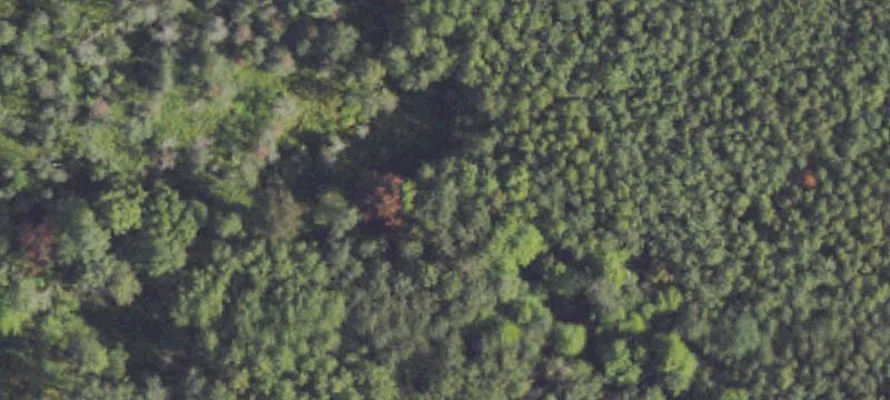 White Cloud, MI 49349