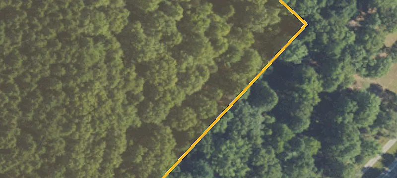 Saugatuck, MI 49453