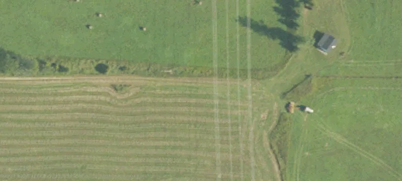 Hesperia, MI 49421