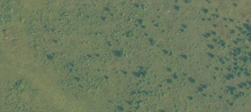 Afton, MI 49705