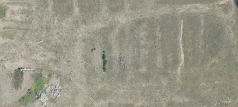 Manton, MI 49663