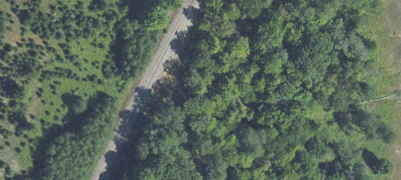 Manton, MI 49663