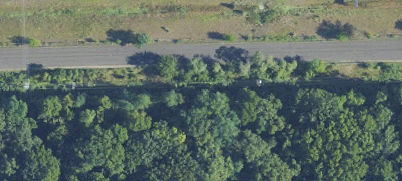 Ryznar Dr