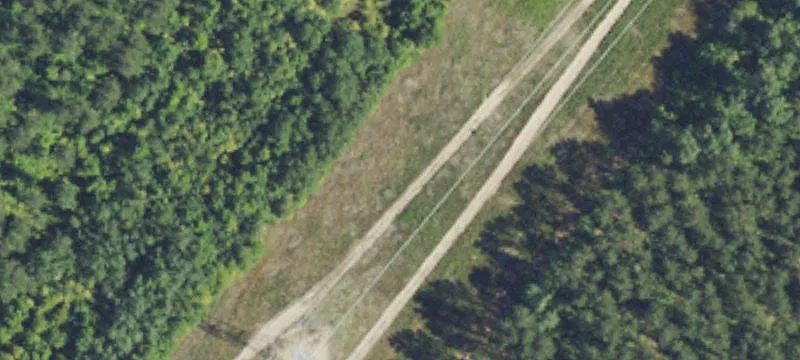 Mancelona, MI 49659