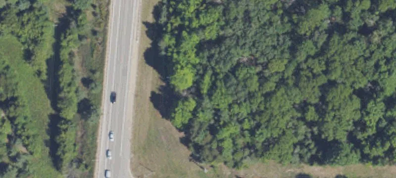 Us 31