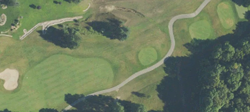 Bellaire, MI 49615