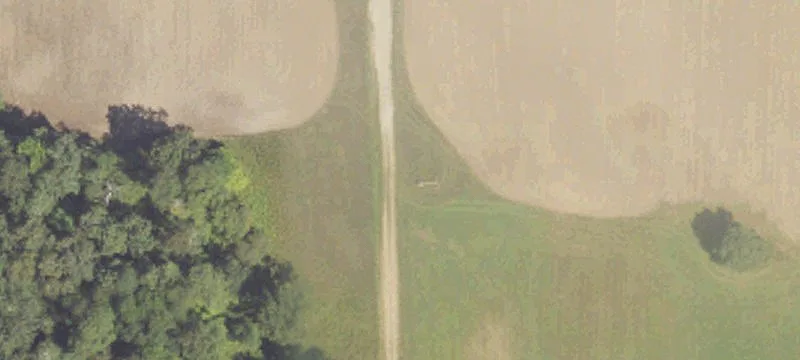 12 Mile Rd