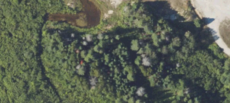 4109 Us Hwy 31