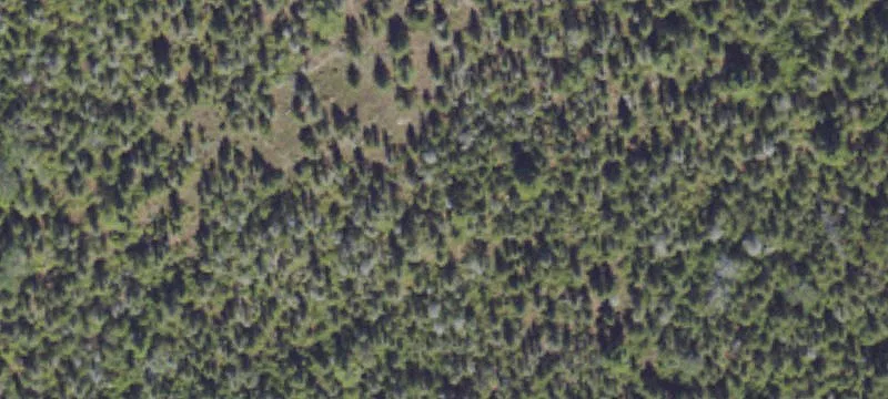 Drummond Island, MI 49726