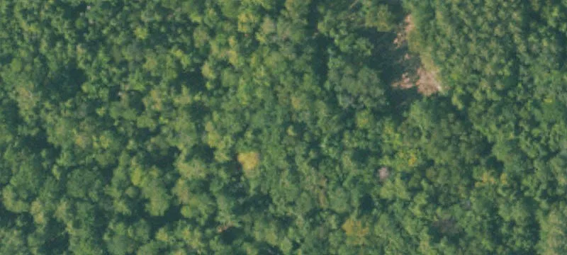 Garden, MI 49835