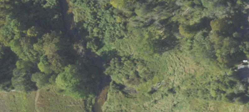 Bear Lake, MI 49614