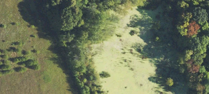 Gale Rd