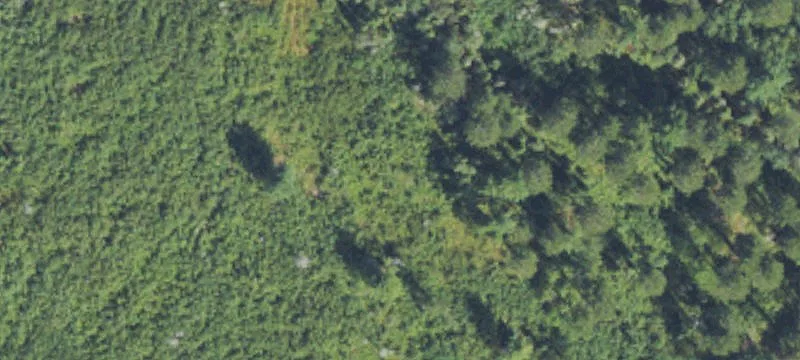 Crystal Falls, MI 49920