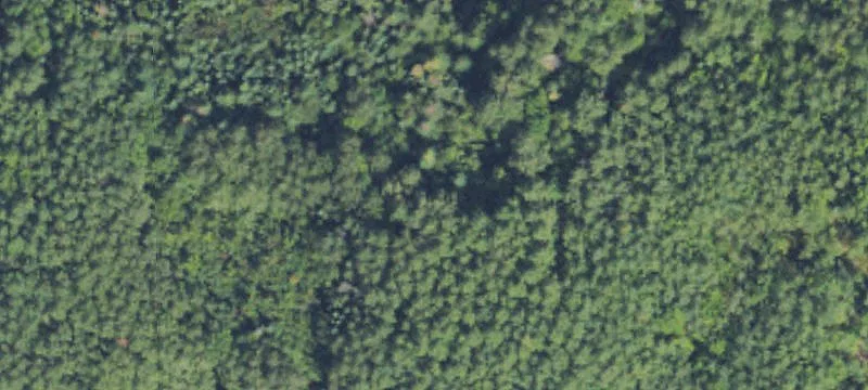 Crystal Falls, MI 49920