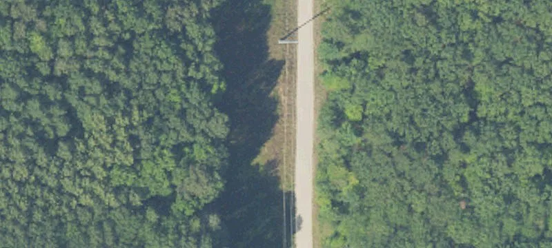Wilber Rd
