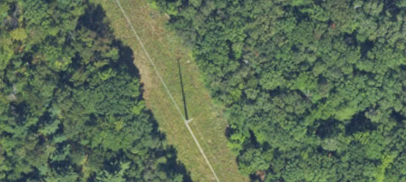 Carpenter Rd