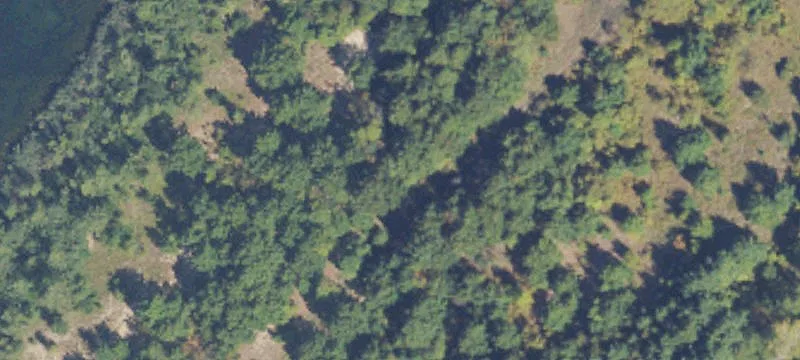 Blue Star Hwy