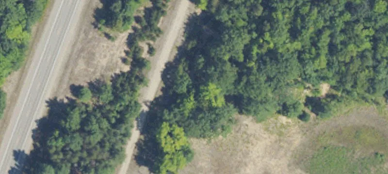 Woodland Dr