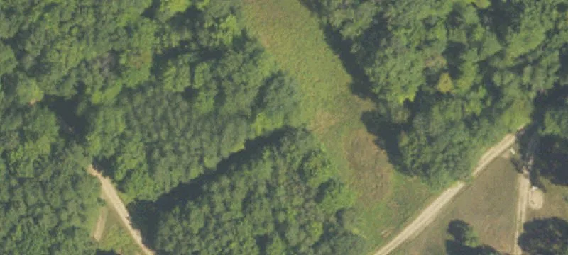 Big Rapids, MI 49307