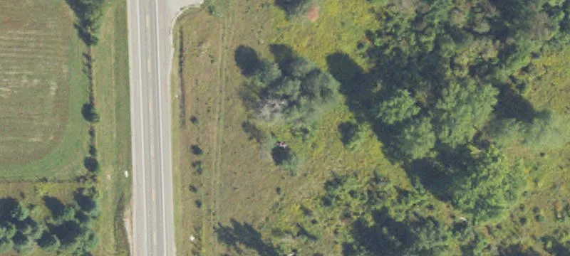 Hale, MI 48739
