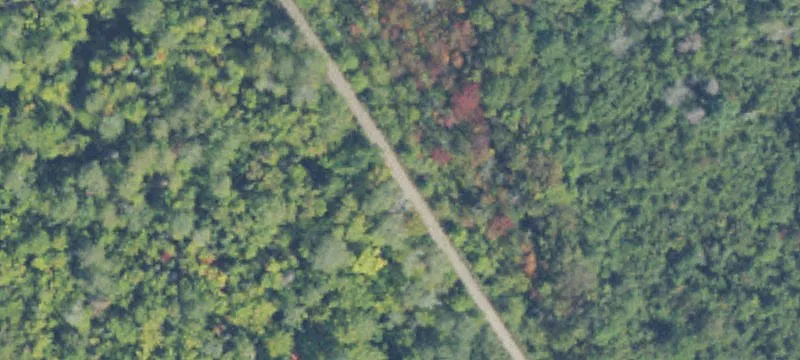 Rockland, MI 49960