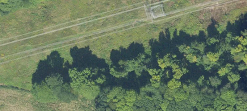Scottville, MI 49454
