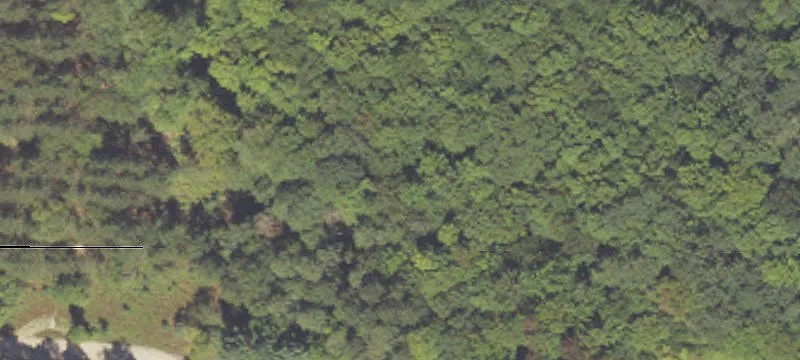 Free Soil, MI 49411
