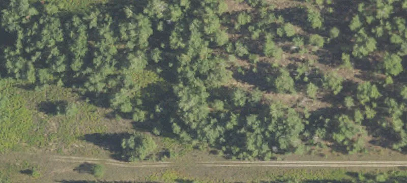 Gaylord, MI 49735