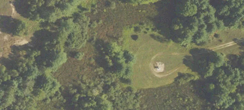 22572 6th Mile Rd