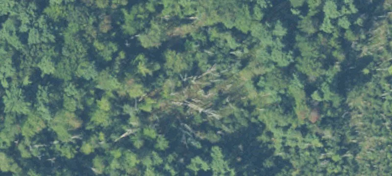 M-55