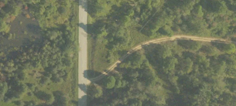 Reed City, MI 49677