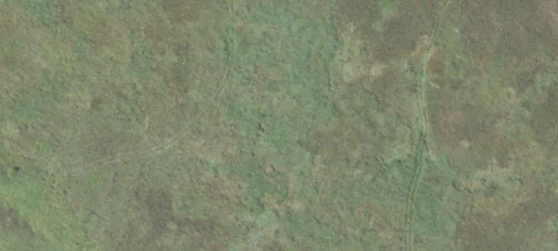 Frankfort, MI 49635